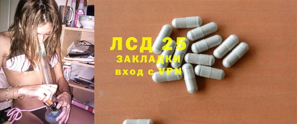 прущие крисы Киренск