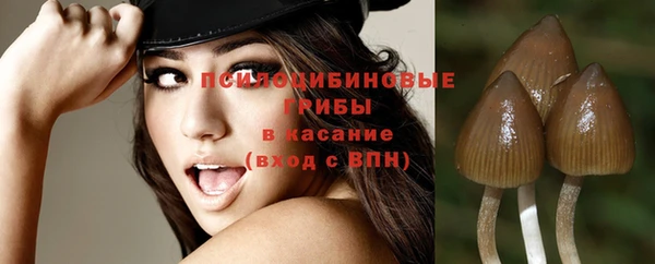 2c-b Кинешма