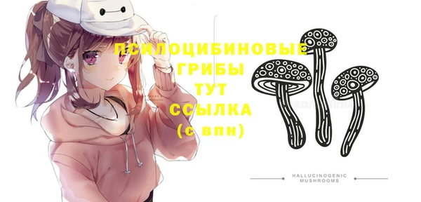 2c-b Кинешма