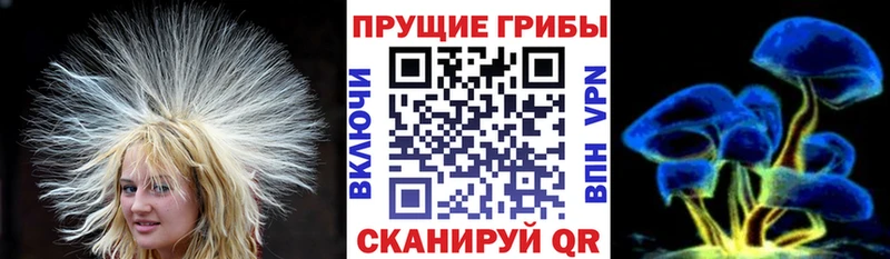 Псилоцибиновые грибы ЛСД  купить закладку  Урус-Мартан 