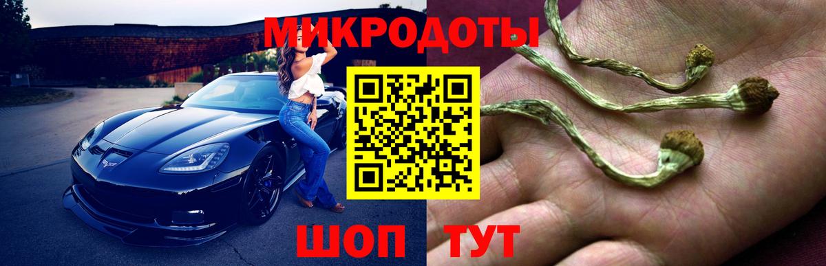 Галлюциногенные грибы MAGIC MUSHROOMS  Вход с VPN  Урус-Мартан  Галлюциногенные грибы ЛСД 
