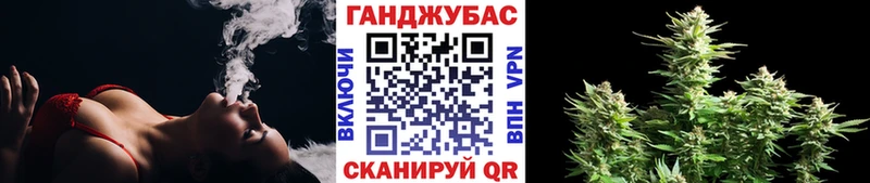 Бошки Шишки SATIVA & INDICA цена Урус-Мартан