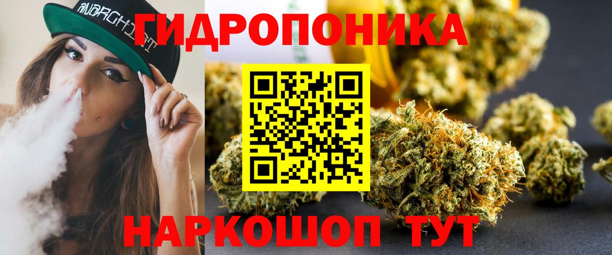 Конопля марихуана Урус-Мартан